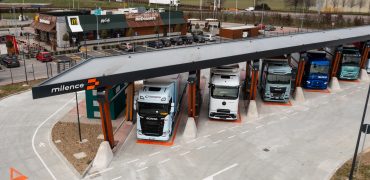 2025MINT0034_WAG-0531 (1)