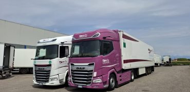 Purple-Trasporti-XG-480-3